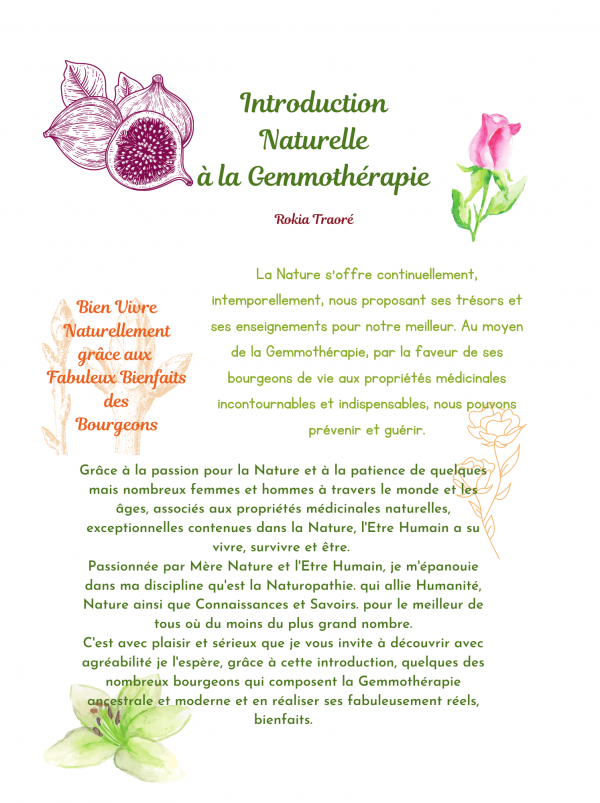 Couverture de livre de recettes électroniques avec montage de légumes verts (25 x 19 cm) (19 x 25 cm) (19.32 x 25.64 cm) (19.64 x 26.28 cm) (1)