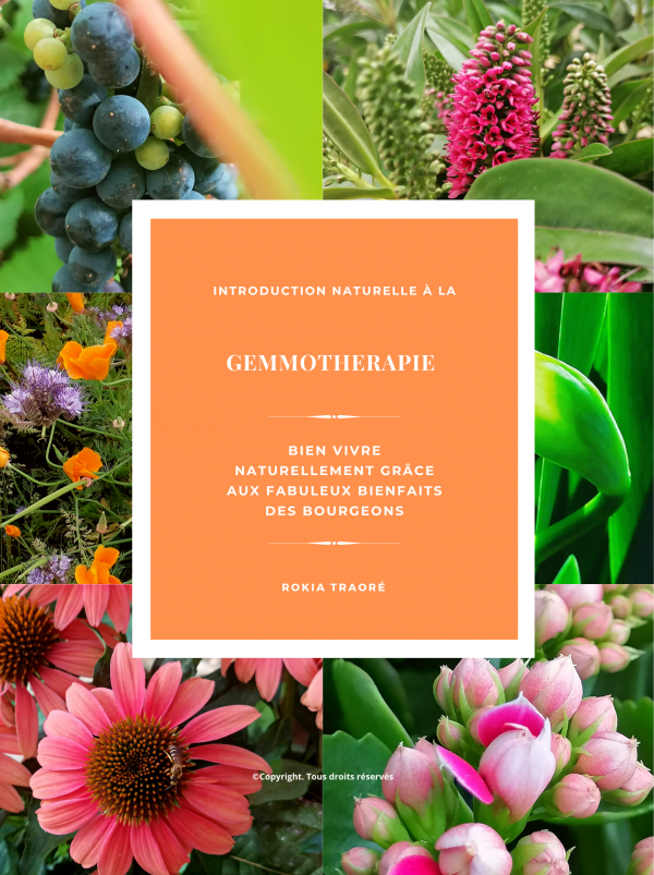 Couverture de livre de recettes électroniques avec montage de légumes verts (25 x 19 cm) (19 x 25 cm) (19.32 x 25.64 cm) (19.64 x 26.28 cm)